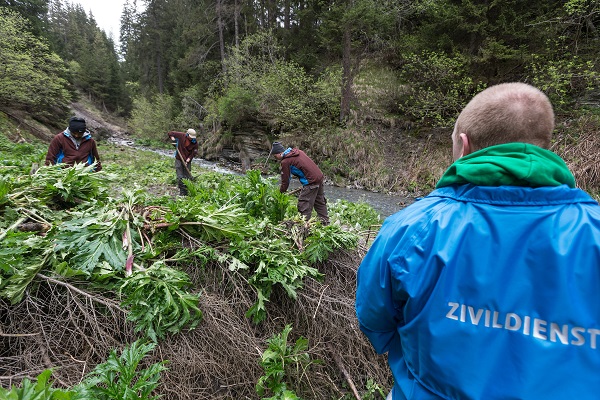00 ZIVI MEDIENBILDER NEOPHYTEN 280513 04verkl